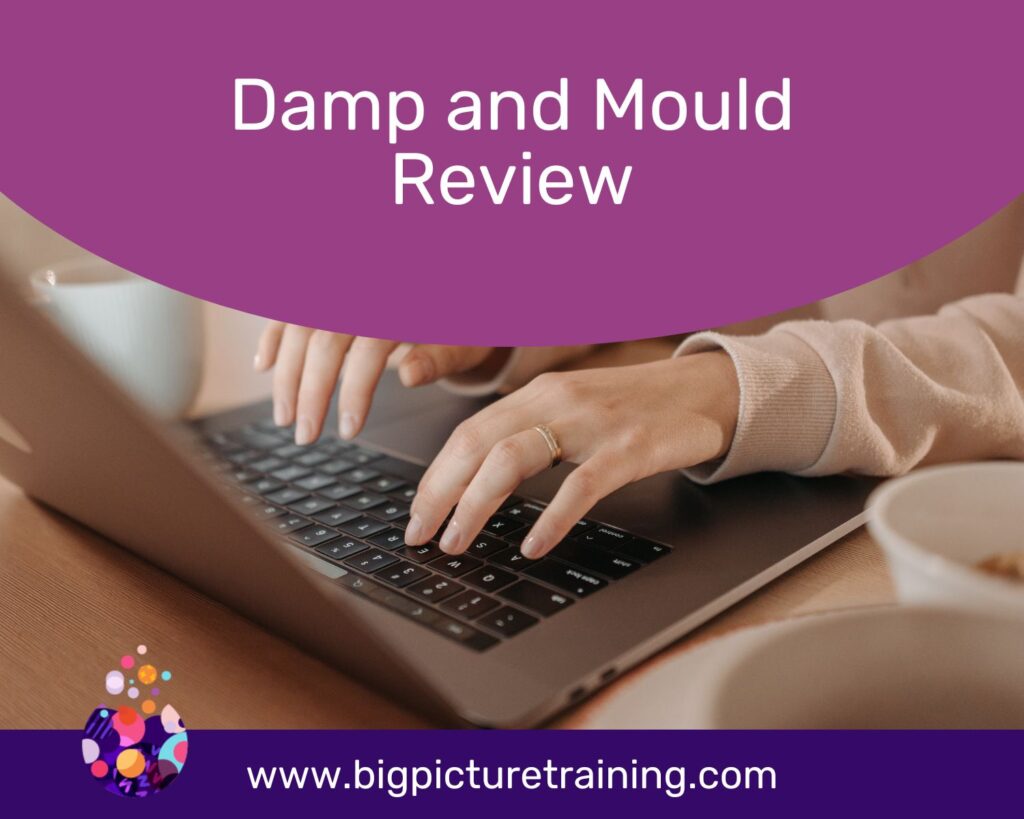 Damp and Mould Review2