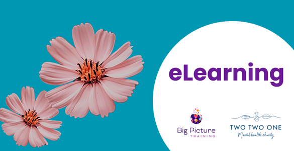 Understanding and Preventing Vicarious Trauma eLearning graphic