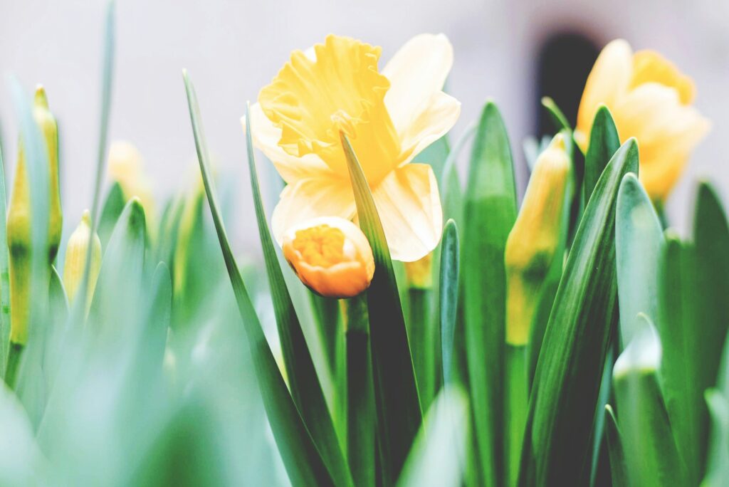 March roundup featured image