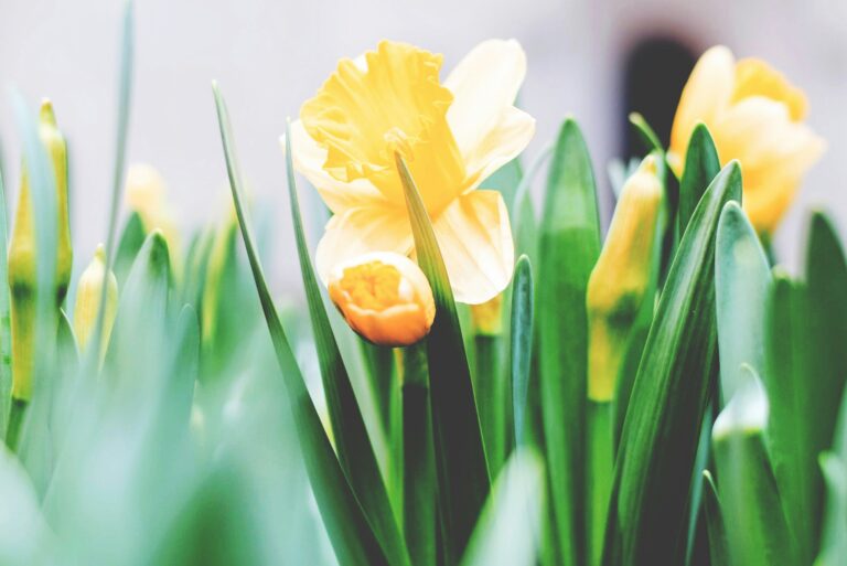 March roundup featured image