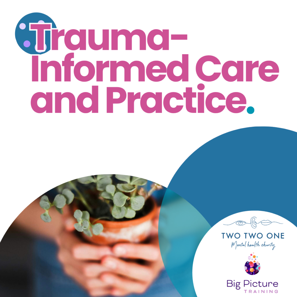 Trauma Informed Care and Practice Featured Image